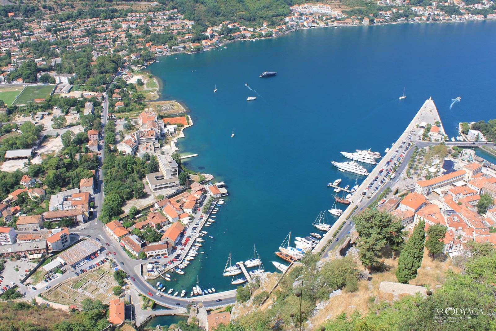 Kotor